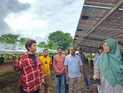 MCB: PLTS Terpusat di KKT Wujudkan Kemandirian Energi Daerah 3T di Maluku