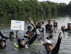Lanjutkan Penghijauan, Epson Indonesia Tanam 6000 Pohon dan Rehabilitasi Mangrove
