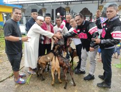 Mercy Barends Serahkan Hewan Qurban di Masjid Baiturrahman Tanjung Batumerah