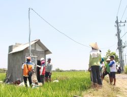 Pertanian Modern Berbasis Listrik Kian Berkembang: Program Electrifying Agriculture PLN Tumbuh 22,28 Persen