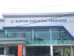 BKIPM: Kepiting Bakau Maluku Tembus Pasar ASEAN