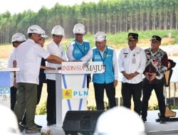 Presiden Groundbreaking Pembangunan PLTS PLN 50 MW di IKN Nusantara