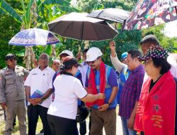 Realisasi Program BPBL PLN, 3500 Warga Kurang Mampu di Maluku-Malut Nikmati Listrik