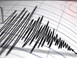 Dalam Sepekan, Maluku Diguncang 34 Gempa