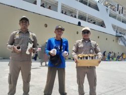 Penyelundupan 16 Satwa Endemik Maluku Digagalkan BKHIT