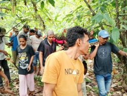 Warga Tamilouw Ditemukan Tewas di Hutan