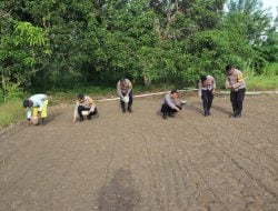 Polres Buru Tanam 3.000 Bibit Jagung