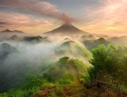 Epson umumkan Pembukaan Pendaftaran untuk The 16th Epson International Pano Awards