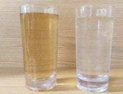 Proyek SPAM Tual Gagal, Warga Minum Air “Kotor”