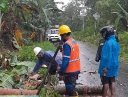 PLN UP3 Ambon Respon Cepat atasi Gangguan Listrik Ditengah ekstrim cuaca