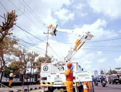PLN Catat Kinerja Operasional Positif Sepanjang 2024