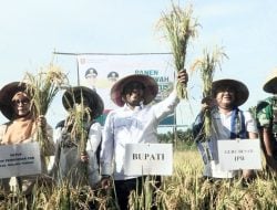 Bupati Malteng Komitmen Wujudkan Swasembada Pangan Nasional