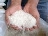10 Tips Ampuh Menyimpan Beras Agar Tidak Berkutu dan Tahan Lama