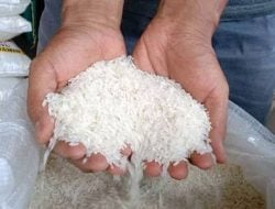 10 Tips Ampuh Menyimpan Beras Agar Tidak Berkutu dan Tahan Lama