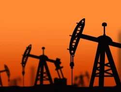 Pemkab SBT Usul Kelola 10% Blok Migas