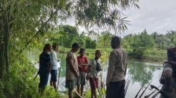Polisi dan warga Lena mencari Tahu Tasane Korban ditemukan tewas dengan sejumlah luka bekas gigitan buaya.