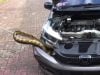 Ular Masuk Mobil Diduga Saat Parkir di Dekat KPU Maluku